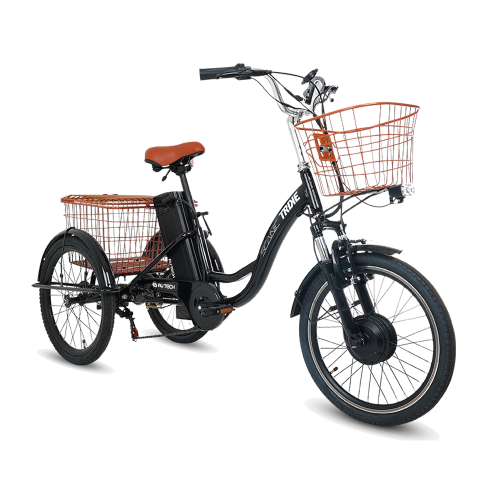 스카닉 TRIKE 접이식 팻바이크 36V 10A BK 전기자전거