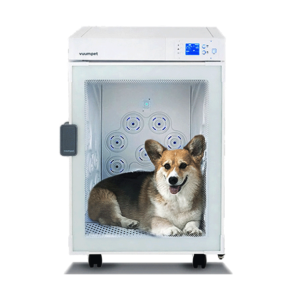 붐펫 펫드라이룸 K300
